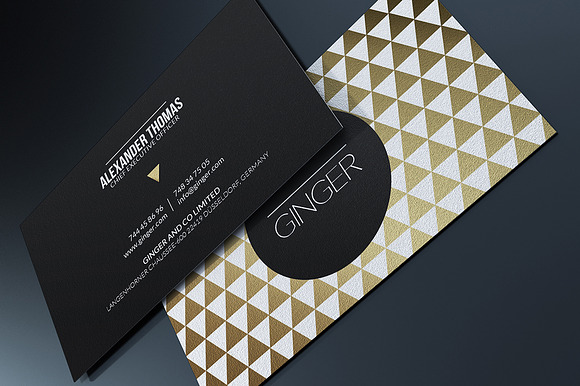 200 Business Cards Bundle in Business Card Templates - product preview 110