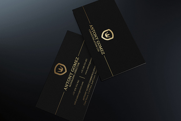 200 Business Cards Bundle in Business Card Templates - product preview 114