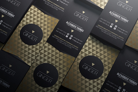 200 Business Cards Bundle in Business Card Templates - product preview 115