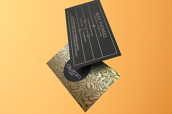200 Business Cards Bundle in Business Card Templates - product preview 172