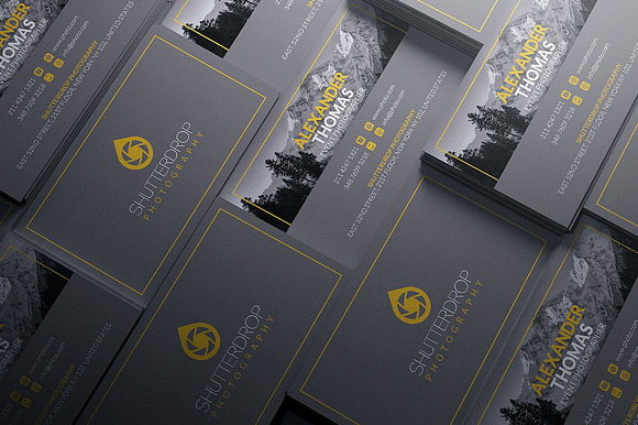 200 Business Cards Bundle in Business Card Templates - product preview 185