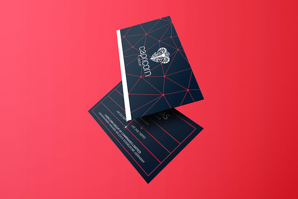 200 Business Cards Bundle in Business Card Templates - product preview 188