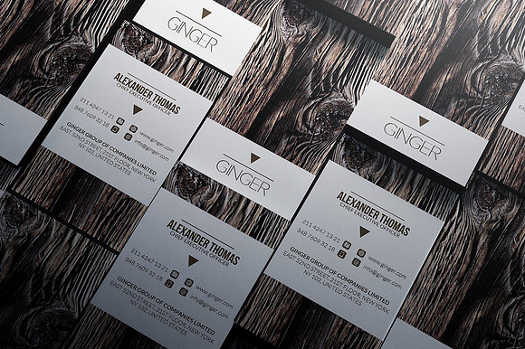 200 Business Cards Bundle in Business Card Templates - product preview 199