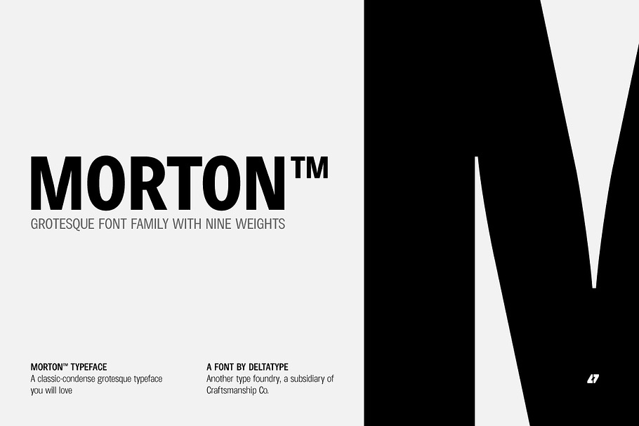 Morton (Complete Family) in Sans-Serif Fonts - product preview 8