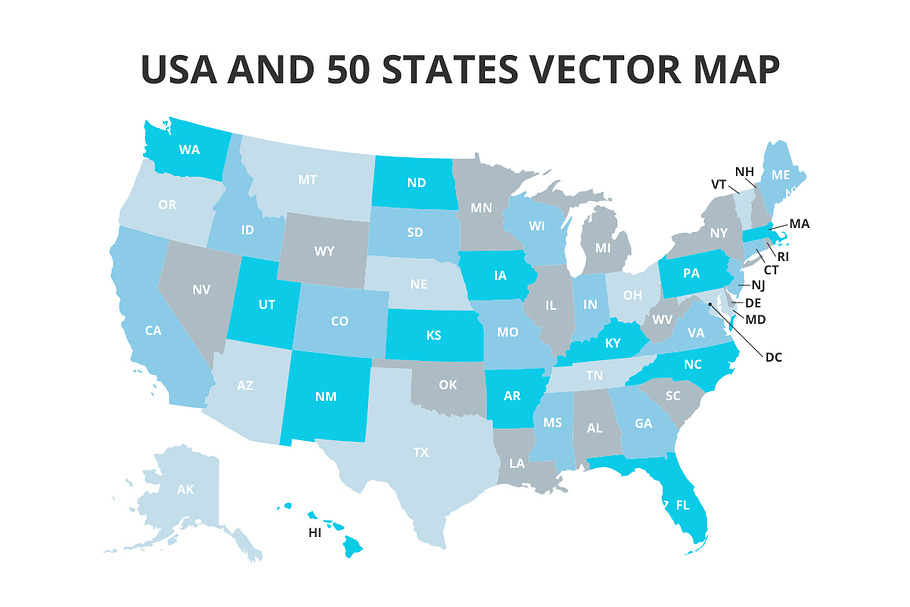 USA and 50 States Vector Map