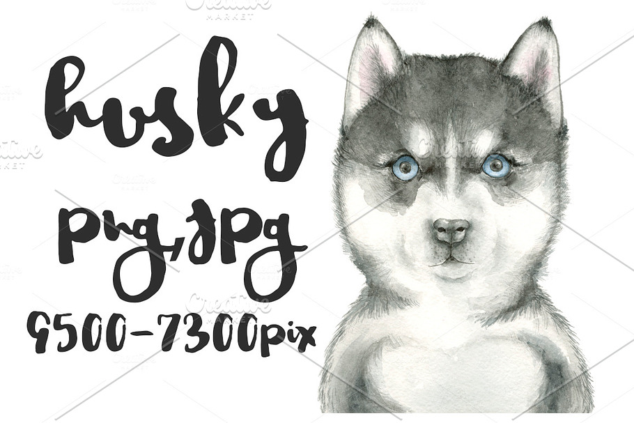 Husky watercolor in Illustrations - product preview 8