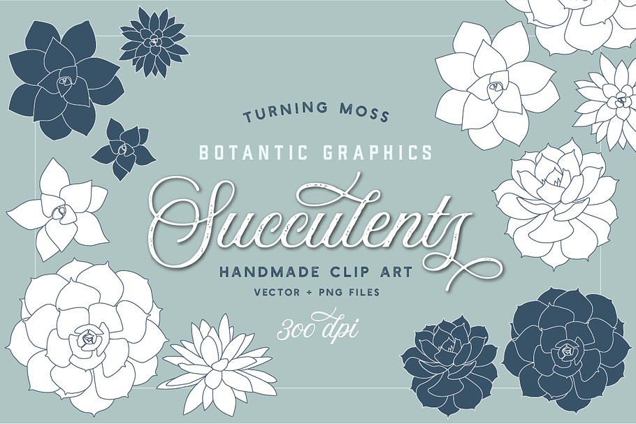Succulent Clip Art - Botanic Vectors