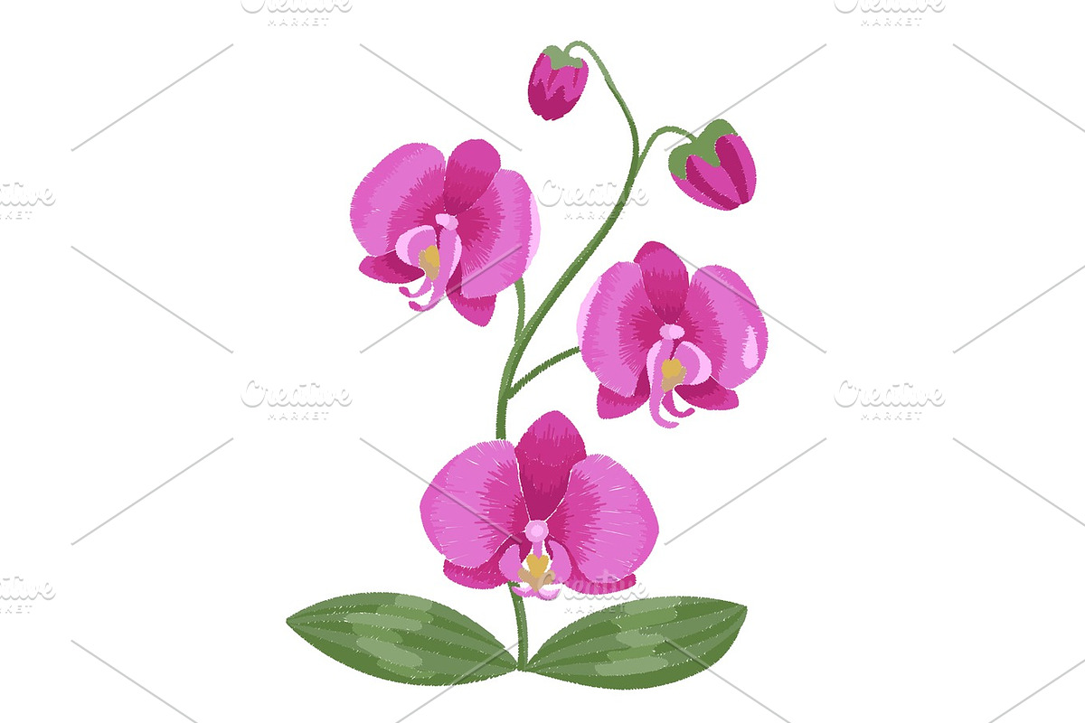 Pink orchid embroidery in Illustrations - product preview 8