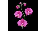 Pink orchid branch embroidery
