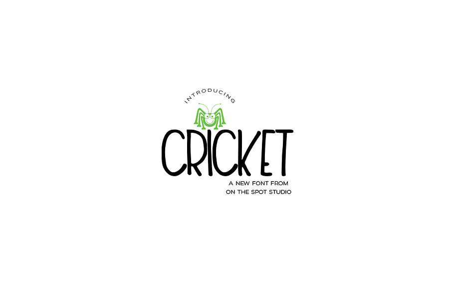 Cricket in Display Fonts - product preview 8