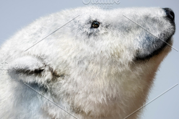 Realistic FUR. 20 Brushes for PS in Photoshop Brushes - product preview 3