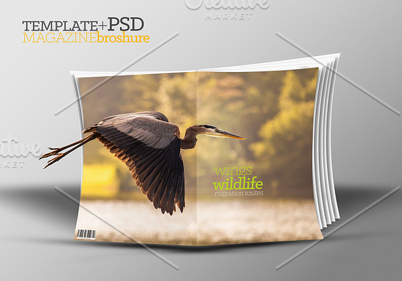 3D Template catalog+PSD in Magazine Templates - product preview 1