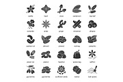 Spices glyph icons set