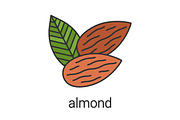Almond color icon