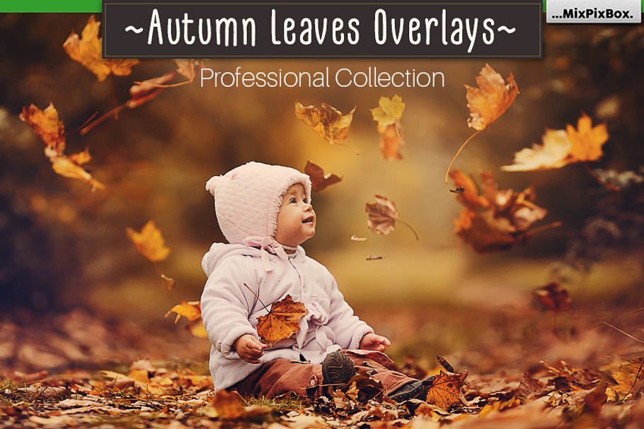 Autumn Leaves Overlays in Photoshop Layer Styles - product preview 8