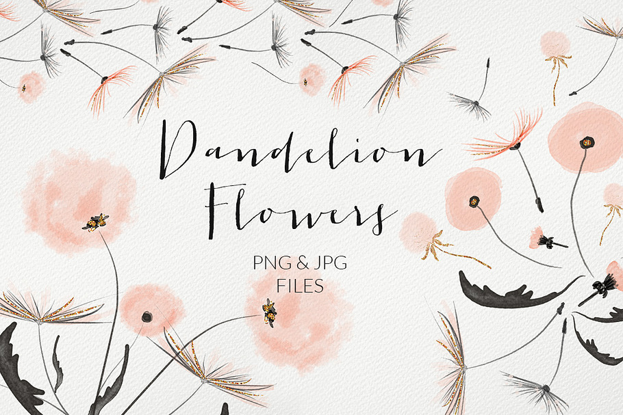 Dandelion in Illustrations - product preview 8