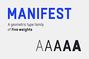 Manifest Type Family