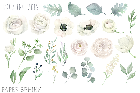 Watercolor White Flowers Clipart in Illustrations - product preview 1