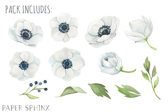 Watercolor Anemone Flower Pack in Illustrations - product preview 1
