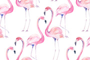 Watercolor Flamingo Pattern
