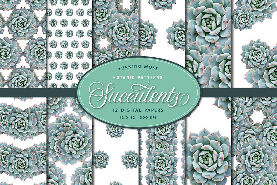 Succulent Patterns - Digital Paper in Patterns - product preview 8