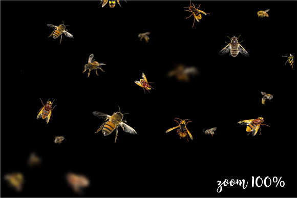 5K Bees Overlays in Textures - product preview 1