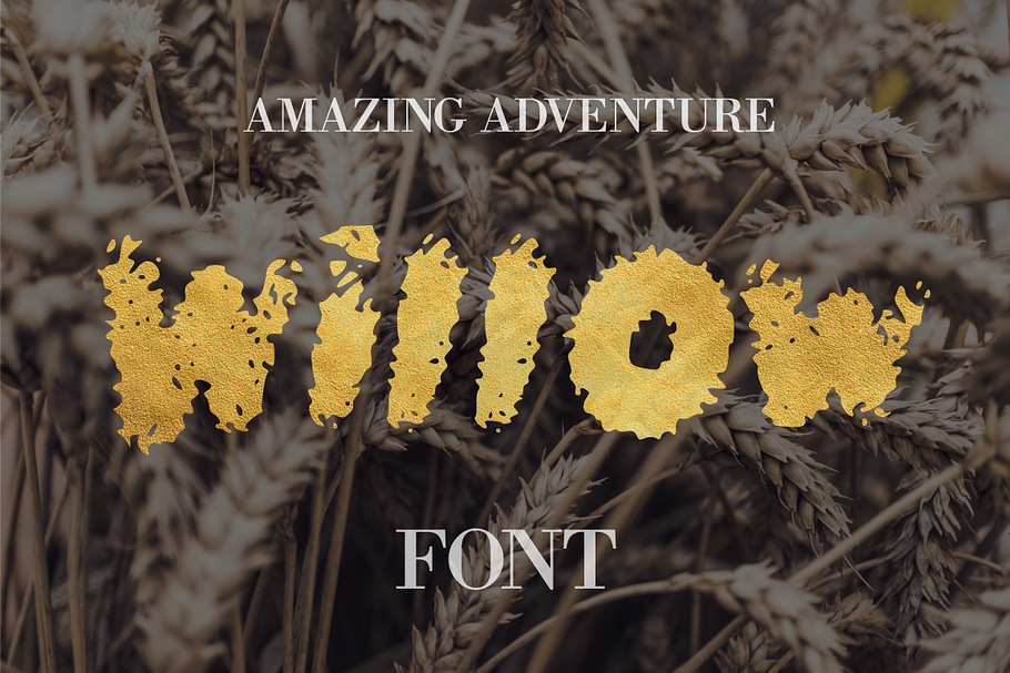 Willow Font - 50% Off in Display Fonts - product preview 8