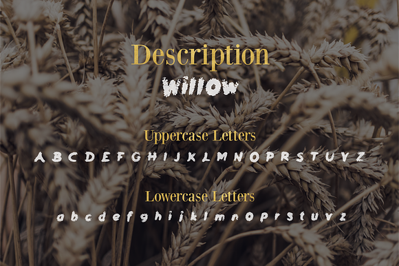 Willow Font - 50% Off in Display Fonts - product preview 1