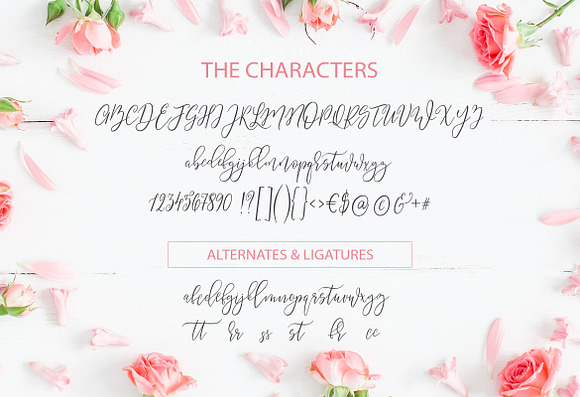 Summery Handwritten Calligraphy Font in Script Fonts - product preview 4
