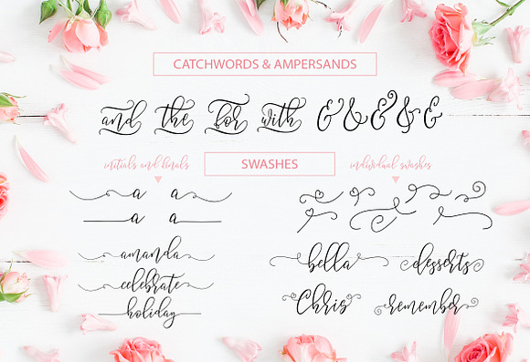 Summery Handwritten Calligraphy Font in Script Fonts - product preview 5