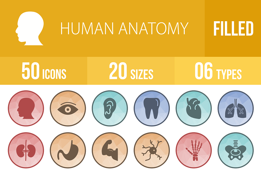 50 Human Anatomy Low Poly B/G Icons