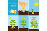 Investments Process and financial business growth concept. Growing money tree vector illustration