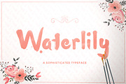 Waterlily Typeface