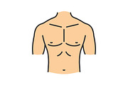 Muscular male chest color icon