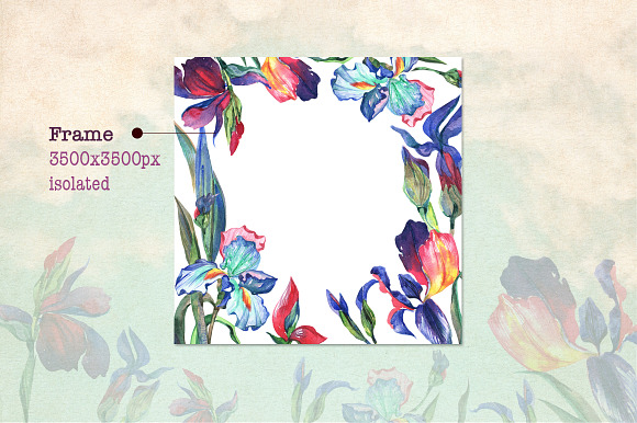 Irises PNG watercolor flower set in Illustrations - product preview 7
