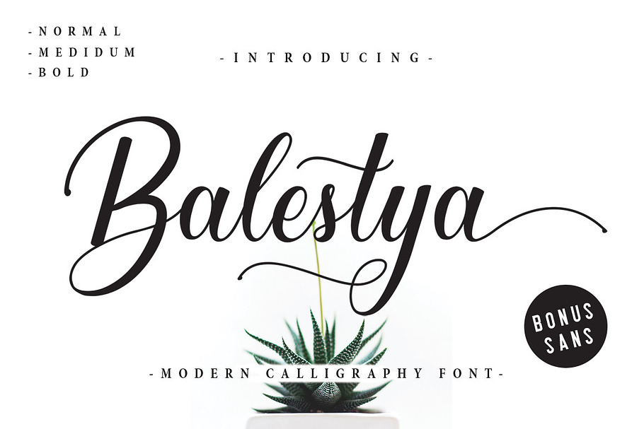 Balestya Script in Script Fonts - product preview 8