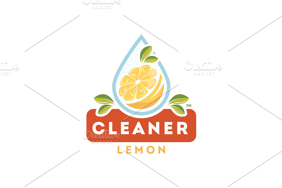 Lemon Cleaner Logo  in Logo Templates - product preview 8