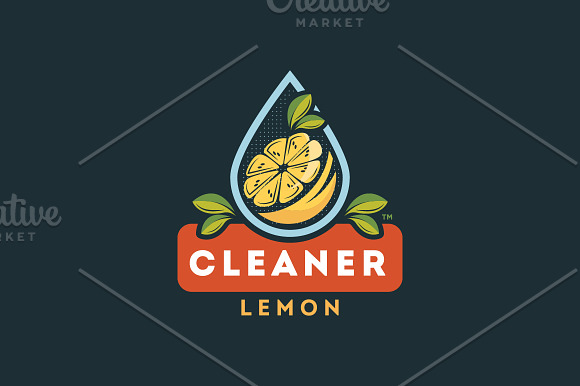 Lemon Cleaner Logo  in Logo Templates - product preview 1