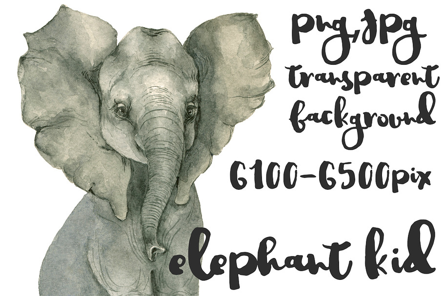 Elephant kid watercolor in Illustrations - product preview 8
