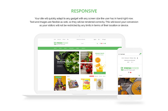 Healthy & Organic Food Store in OpenCart Themes - product preview 1