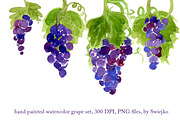 Watercolor Grapes