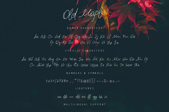 Old Maple in Script Fonts - product preview 4