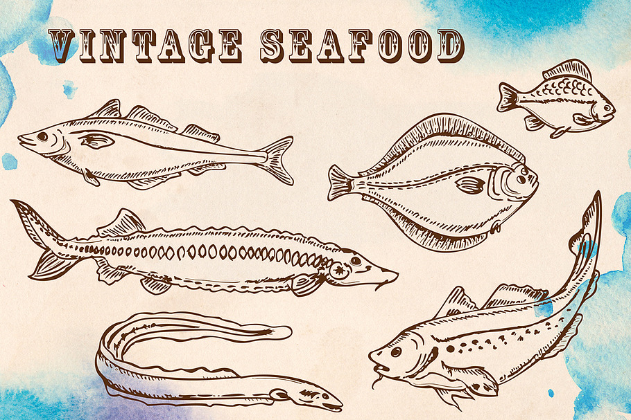 Vintage seafood in Illustrations - product preview 8