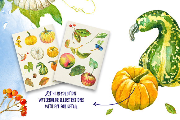 Autumn Fruits in Illustrations - product preview 1