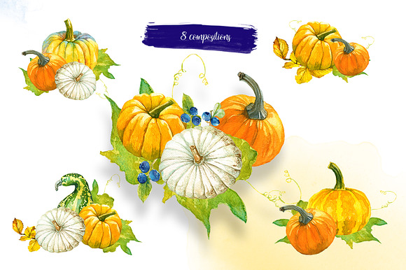 Autumn Fruits in Illustrations - product preview 2