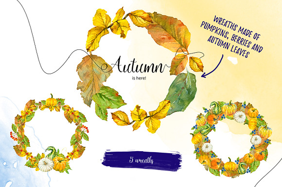 Autumn Fruits in Illustrations - product preview 5