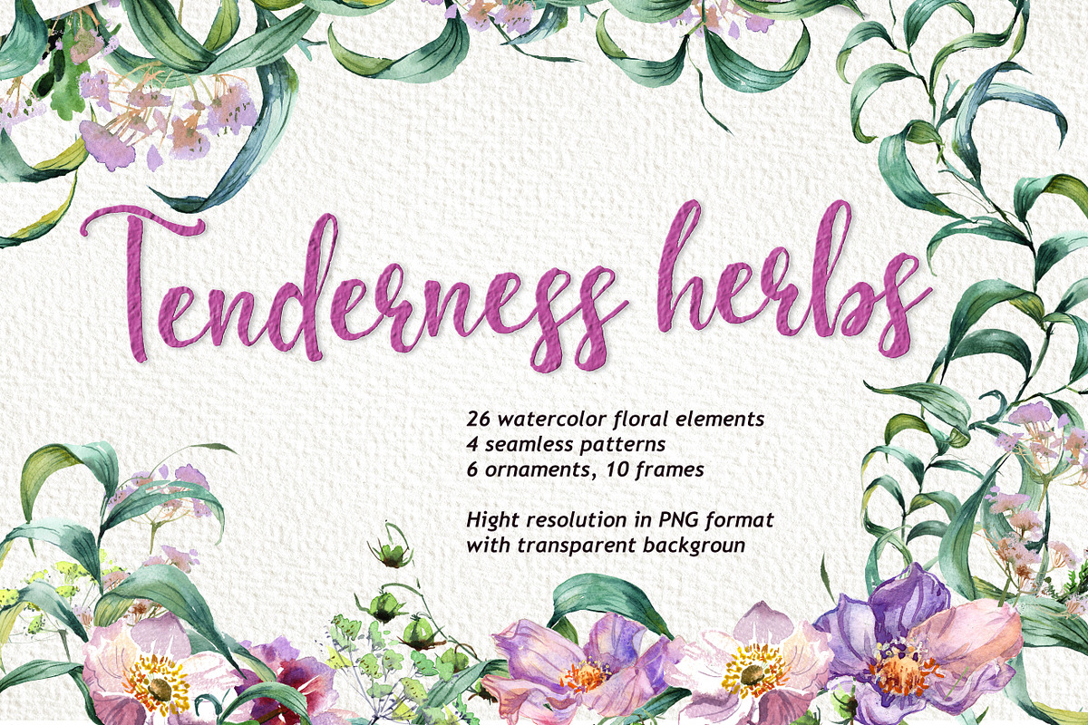 Tenderness herbs in Illustrations - product preview 8