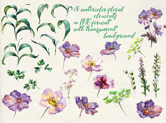 Tenderness herbs in Illustrations - product preview 5