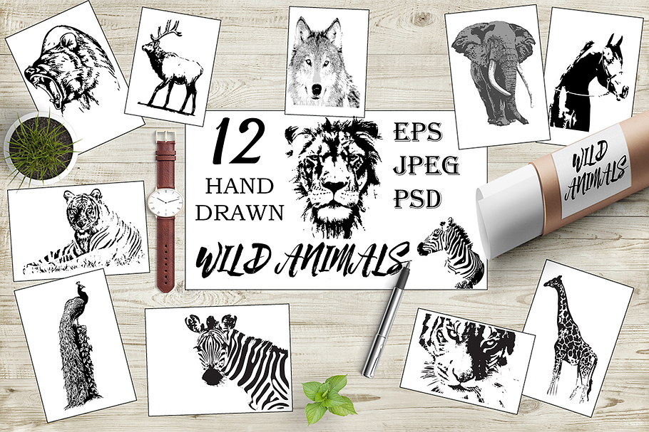 Hand drawn wild animals in Illustrations - product preview 8