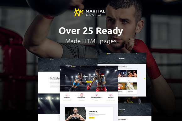 Martial Arts School Website Template in HTML/CSS Themes - product preview 1